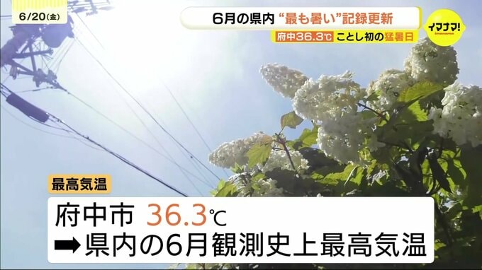 広島でも今年初の猛暑日　府中市36.3℃は広島県の６月観測史上最高を更新　異例の厳しい暑さピーク　|　RCC NEWS | 広島ニュース | RCC中国放送
