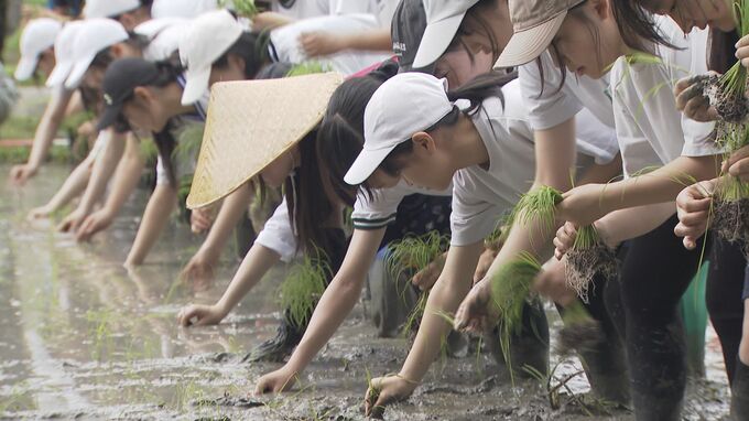 伝統の田植え「さのぼり」高校生が和太鼓の音にあわせて体験　山口・田布施　|　山口のニュース・天気・防災｜tys NEWS｜ｔｙｓテレビ山口