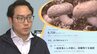 AIを活用し、シイタケ栽培に取り組む紫波町の企業を紹介　どのように生かしているのか？味は？収穫量は？　岩手　|　IBC NEWS | IBC岩手放送