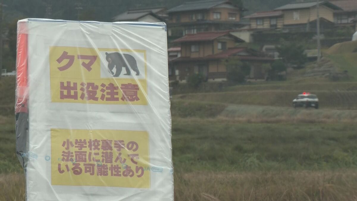 小学校近くで目撃されたクマと同じ個体か　成獣のツキノワグマ１頭を捕獲　岐阜・高山市丹生川町