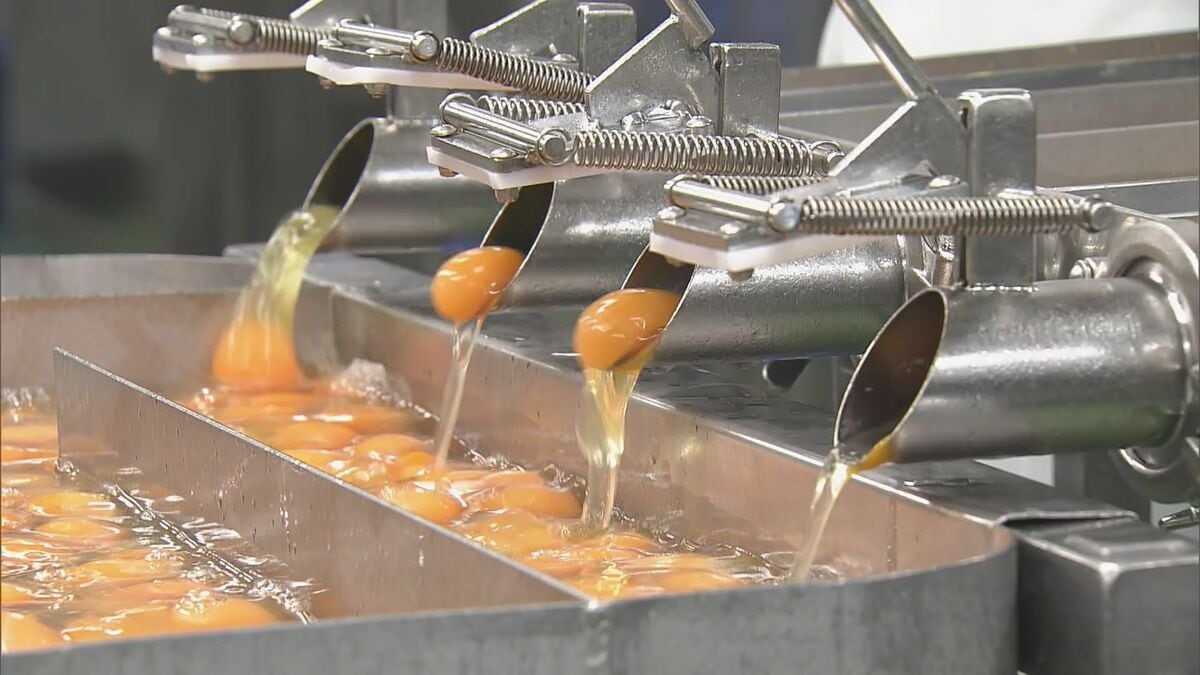 殻が取り除かれた状態で販売される“液卵” 売上は去年の2倍 鳥インフルエンザの影響で｢このまま続けばエッグショックを超える可能性も…｣ 