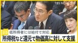 「もっと早いとうれしい…」“減税”踏み切るも、実施は来年6月？給付じゃないワケとは　国会で本格論戦【news23】|TBS NEWS DIG