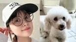 【 鈴木奈々 】 「新しい家族が増えました」　5匹目の保護動物を迎え入れ喜び　白いふわふわトイプードルが仲間入り|TBS NEWS DIG