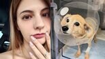 【 マギー 】「3月に急性肺水腫になり通院と投薬生活」“13歳になる愛犬” 手術と術後の経過を報告|TBS NEWS DIG