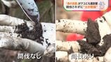 「森の放置」が川の魚に悪影響 30年でアユ激減　手入れされない木が招く“土の乾燥”…大量の土砂が川に|TBS NEWS DIG
