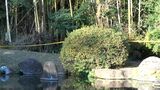 鹿屋市の公園で見つかった遺体 市内の60代女性と判明 鹿児島 | 鹿児島のニュース|MBC NEWS|南日本放送