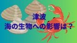 【津波】海の生物への影響は?「泥による濁りや塩分濃度の変化で生き延びる確率が低下」一方で新たな生物の定着も|TBS NEWS DIG