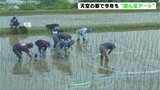 天空の郷で今年も“田んぼアート”準備 高知・本山町 | 高知のニュース・天気|KUTV NEWS | KUTVテレビ高知