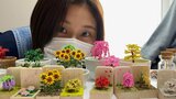 「祖父母がすごく褒めてくれて それがすごくうれしくて」超超超超ミニチュアサイズの『折り鶴』を製作 | 熊本のニュース|RKK NEWS|RKK熊本放送