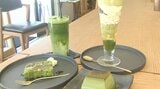 抹茶づくしのスイーツ&ドリンク カフェ「つなぐ茶屋」 カジュアルな雰囲気で楽しめる人気店 大分 | 大分のニュース|OBS NEWS|大分放送