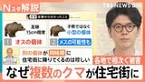 各地で相次ぐクマ被害　遭遇した人「なす術なし」 猟犬の鳴き声・猟銃でクマよけするアプリも【Nスタ解説】|TBS NEWS DIG