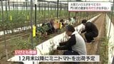 台風15号で被害を受けた門川町のトマト農園 門川高校の生徒らが復旧作業の手伝い | MRTニュース | MRT宮崎放送