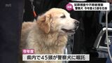 警察犬の嘱託式 今年度は宮崎県内で45頭が警察犬に嘱託|TBS NEWS DIG