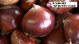 早くも秋の味覚 「高千穂ひのかげくり」の出荷始まる |TBS NEWS DIG