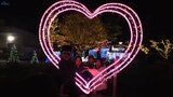 2万5000個のLED 岩手・遠野市の工場がクリスマスイルミネーション 光の回廊やハートのオブジェ|TBS NEWS DIG