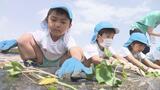 「土掘りではモグラに負けない！」園児がサツマイモの苗植え付け体験　福島|TBS NEWS DIG
