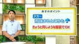 高知の天気　17日　午後から雨の範囲広がる　山岸拓気象予報士が解説|TBS NEWS DIG