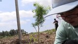 森に親しみ、森の役割の理解進める 北上市の市有林で植樹体験会 50~60年後には建材に 岩手|TBS NEWS DIG