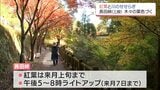 三股町の長田峡　紅葉が見ごろ　12月7日まではライトアップも　|　MRTニュース ｜ ＭＲＴ宮崎放送