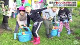 「おっきいリンゴ！」あっという間に手かごいっぱいに！園児がリンゴのもぎ取り体験|TBS NEWS DIG
