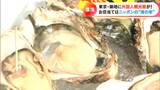 東京・築地市場で即完売 外国人観光客に“岩ガキ”が大人気 …なのに産地では異変 現場で何が起きている? | 名古屋・愛知・岐阜・三重のニュース【CBC news】 | CBC web