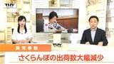 県が緊急会議　県産さくらんぼの今年の収量がピンチ！　今年は収穫ロスが多く発生　ふるさと納税の返礼品が送れない事態も（山形）　|　山形のニュース│TUYテレビユー山形