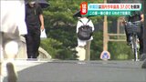新潟市秋葉区で「今年国内最高37.0℃を観測」 猛暑日は県内6地点に|TBS NEWS DIG