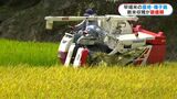 「日本一早い新米」種子島で超早場米コシヒカリの収穫が最盛期　品質良好も価格下落に農家は複雑な思い　|　鹿児島のニュース｜MBC NEWS｜南日本放送