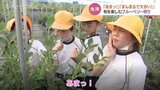 「あまっ！」「まんまるになっとった！」児童がブルーベリー狩り　収穫体験で旬の味覚を楽しむ　富山・魚津市　|　富山のニュース｜天気・防災｜チューリップテレビ