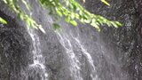 “涼を求めて2023” 徳川家康の側室が身を清めた「羽衣白糸の滝」 山梨県早川町 | 山梨のニュース | UTYテレビ山梨