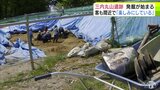 「わくわくしながらやっている」33年目の参加者も 世界遺産「三内丸山遺跡」で今年度の発掘調査はじまる 青森県|TBS NEWS DIG