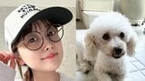 【 鈴木奈々 】 「新しい家族が増えました」 5匹目の保護動物を迎え入れ喜び 白いふわふわトイプードルが仲間入り|TBS NEWS DIG