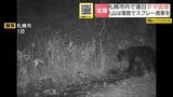 「単独で行動せず、必ずクマ撃退スプレー携帯を」 連日クマ出没が続く札幌市 秋の山菜採りシーズンに向け 警察や自治体がクマへの注意や遭難防止を呼びかけ|TBS NEWS DIG