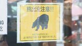 「千曲川の中州にうずくまっていた」住民襲ったクマと同一個体か 飯山市で駆除のクマ 胸に切り傷 DNA鑑定へ 長野|TBS NEWS DIG