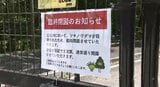 「園内にクマが潜んでいるおそれが…」公園は臨時閉園…長野・大町市の国営公園でクマ1頭目撃…クマは体長約1メートルで動き回ったあと姿が見えなくなる…安全確認され18日から開園へ|TBS NEWS DIG