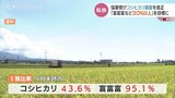 「コシヒカリ偏重」から高温に強い「富富富」への転換へ コシヒカリ1等比率46.3%の衝撃受け 富山|TBS NEWS DIG