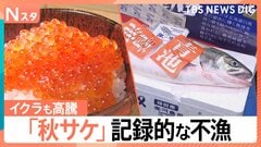 秋サケ不漁で高騰「1切れ約500円」救世主となるか JR四国やNTTなど「サーモン養殖」に異業種が続々参入【Nスタ解説】| TBS CROSS DIG with Bloomberg