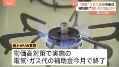 イラン情勢受け深刻な“原油高”　4月の電気・ガス代↑・たまご・おしぼりにまで影響　生活に忍びよる価格高騰の波| TBS CROSS DIG with Bloomberg