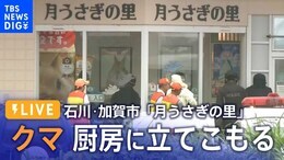 【ライブ】クマ立てこもる 体長1.6m「月うさぎの里」厨房に侵入 石川・加賀市(2023年7月19日)| TBS NEWS DIG|TBS NEWS DIG