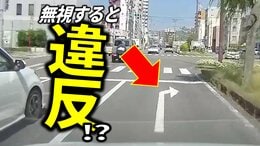 道路上の白矢印、無視して進むと交通違反?警察に聞いてみると…|TBS NEWS DIG