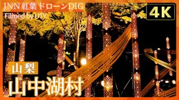 【4K】ライトアップの紅葉と竹あかり【JNN 紅葉ドローンDIG 2025】|TBS NEWS DIG