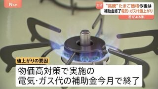 イラン情勢受け深刻な“原油高”　4月の電気・ガス代↑・たまご・おしぼりにまで影響　生活に忍びよる価格高騰の波| TBS CROSS DIG with Bloomberg