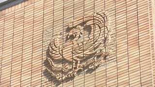 出版大手KADOKAWA　フリーランス法違反で公取から勧告受ける　| TBS CROSS DIG with Bloomberg