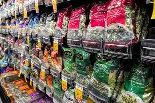 レタス検査結果は「偽陽性」､米FDAが判定撤回－集団感染の調査は継続| TBS CROSS DIG with Bloomberg