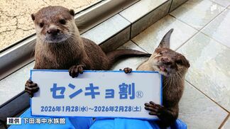 水族館の入場料40%オフの"センキョ割" 衆院選での投票率向上へ一手 下田海中水族館＝静岡・下田市　|　静岡のニュース | SBSNEWS | 静岡放送