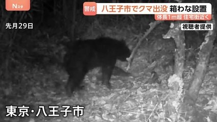 月の輪熊 東京・八王子市の雑木林に体長1m超のツキノワグマ1頭が出没「やばい