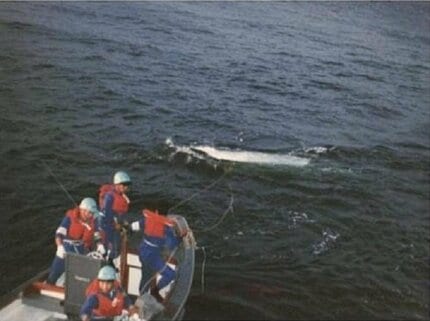 核心”は謎のまま――520人の命が奪われた日航機墜落事故から40年 なぜ