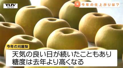 去年より高い糖度に！ 酒田市の特産品 