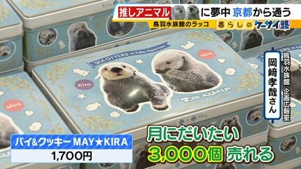 動物推しの“沼”】ラッコは「生きがい」鳥羽水族館に通い詰める男性の
