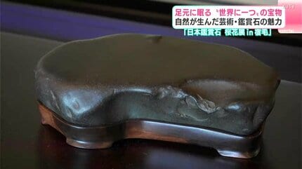 足元に眠る“世界に一つ”の宝物 自然が産んだ芸術・鑑賞石の魅力 高知は